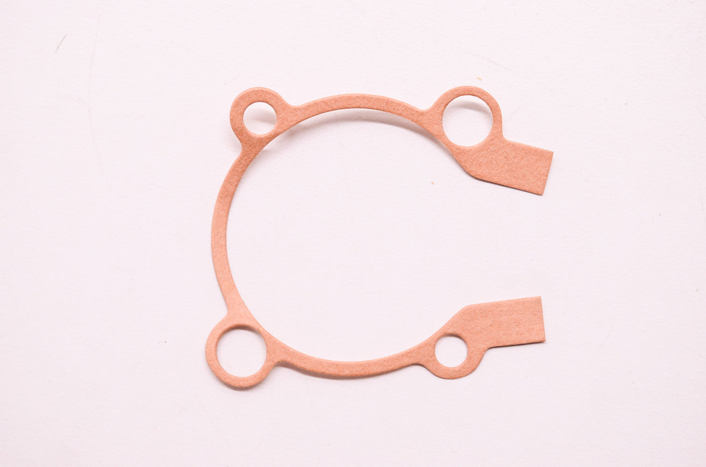 New OEM Echo Gasket