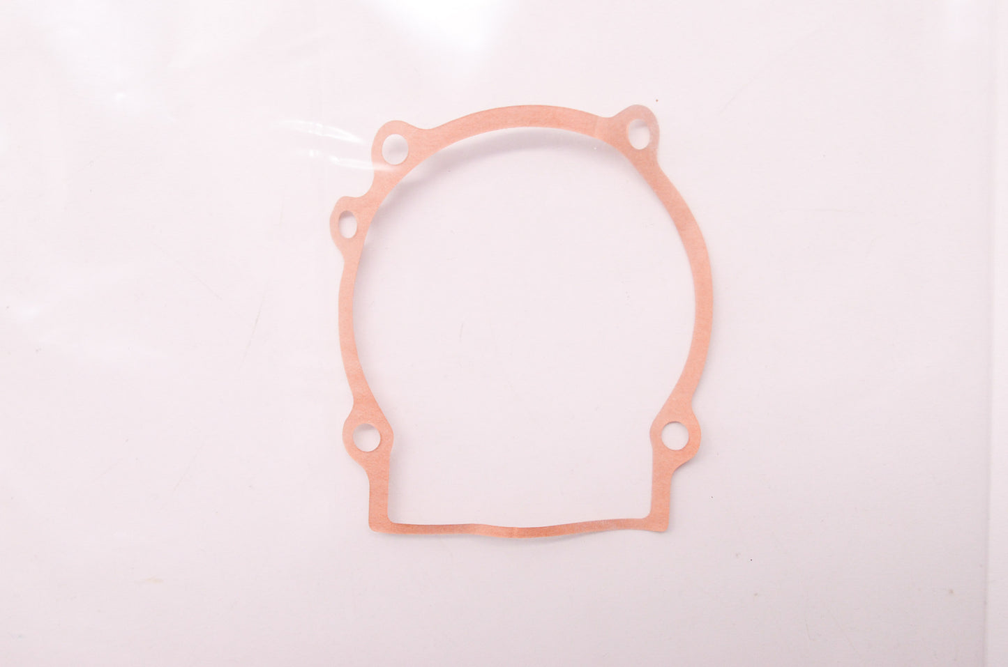 New OEM Echo Gasket