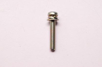 Screw & Washer 5x28 NOS