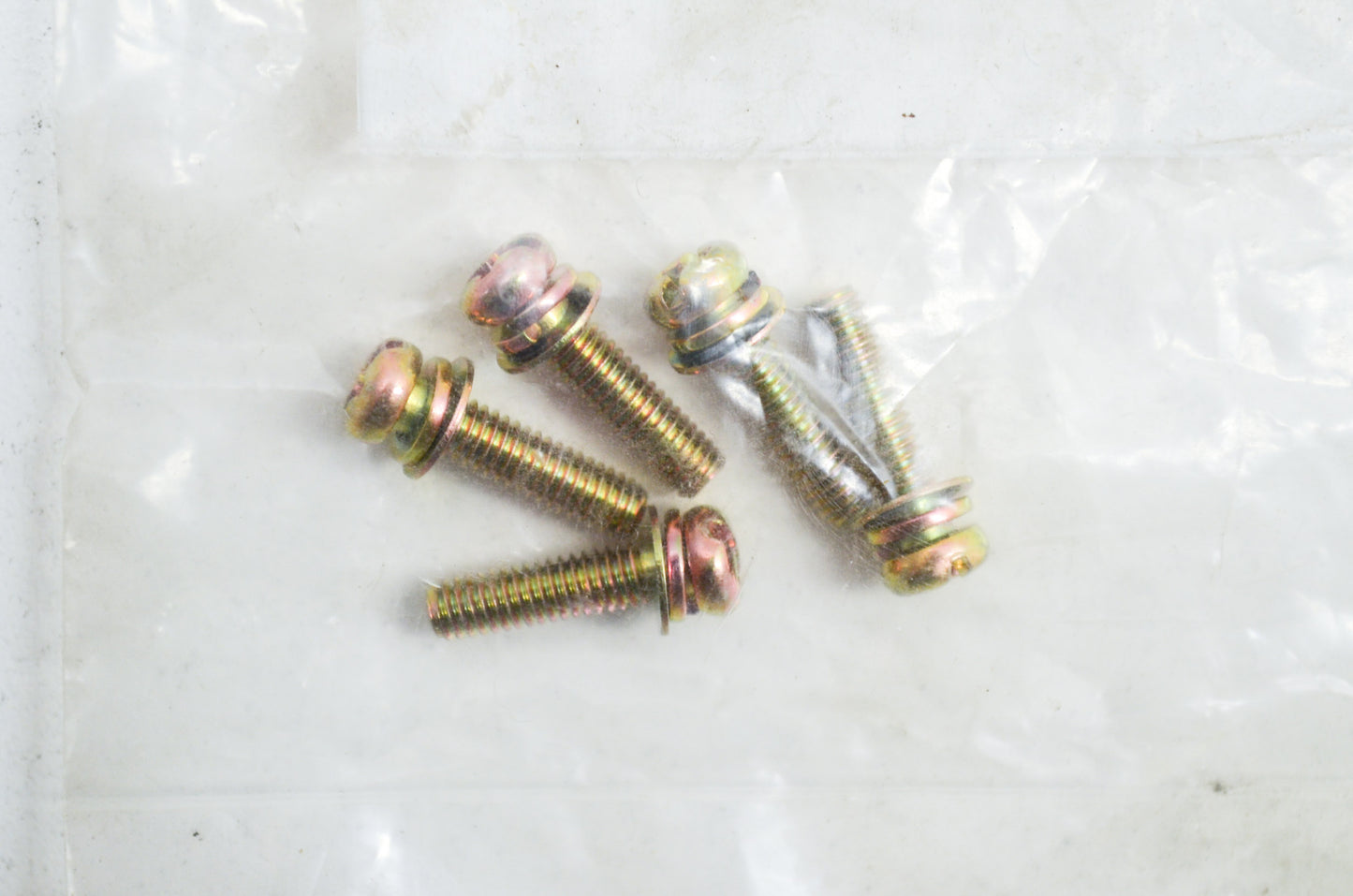 New OEM Echo Screw QTY 5 CS ED EDR HC PB NOS