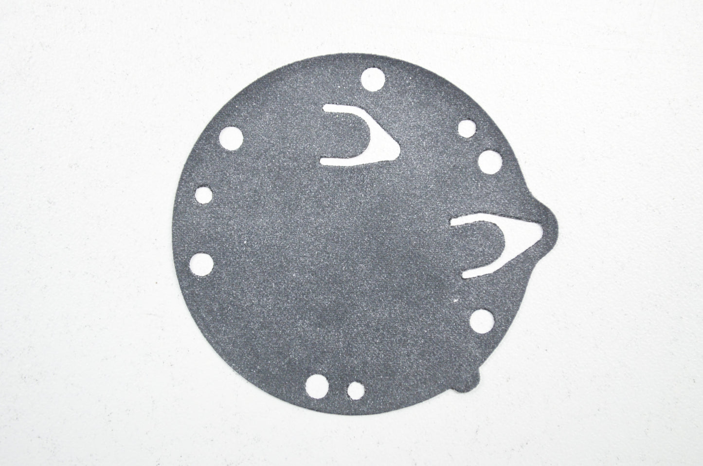 Pump Diaphragm NOS