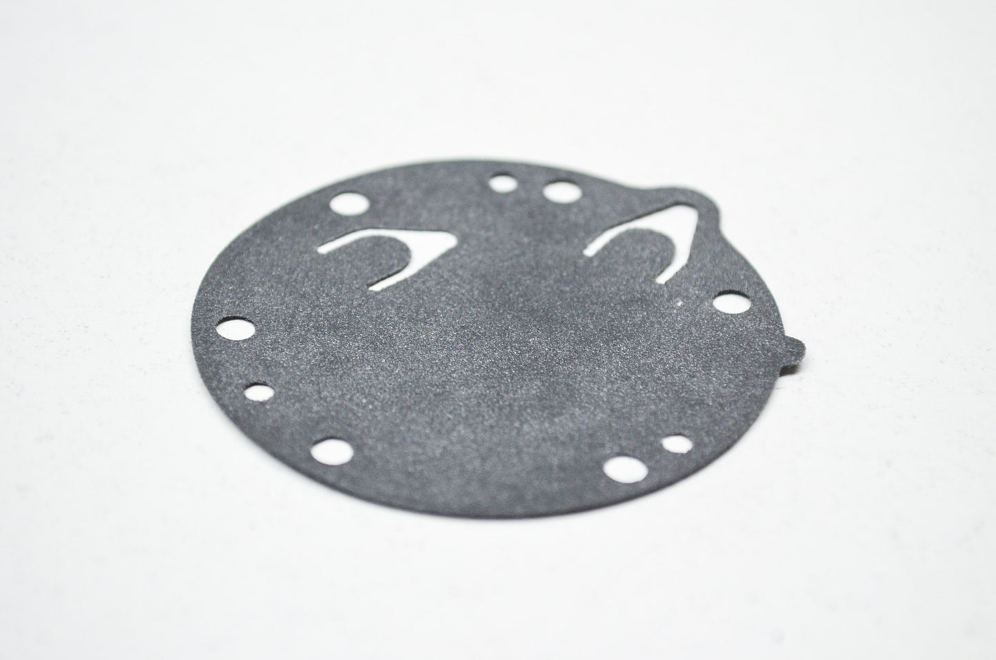 Pump Diaphragm NOS