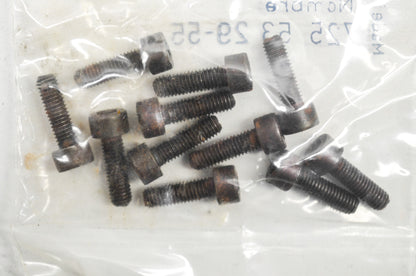 Screw 238 242 244 250 266 288 6120 36 365 55 61 Qty 11 NOS