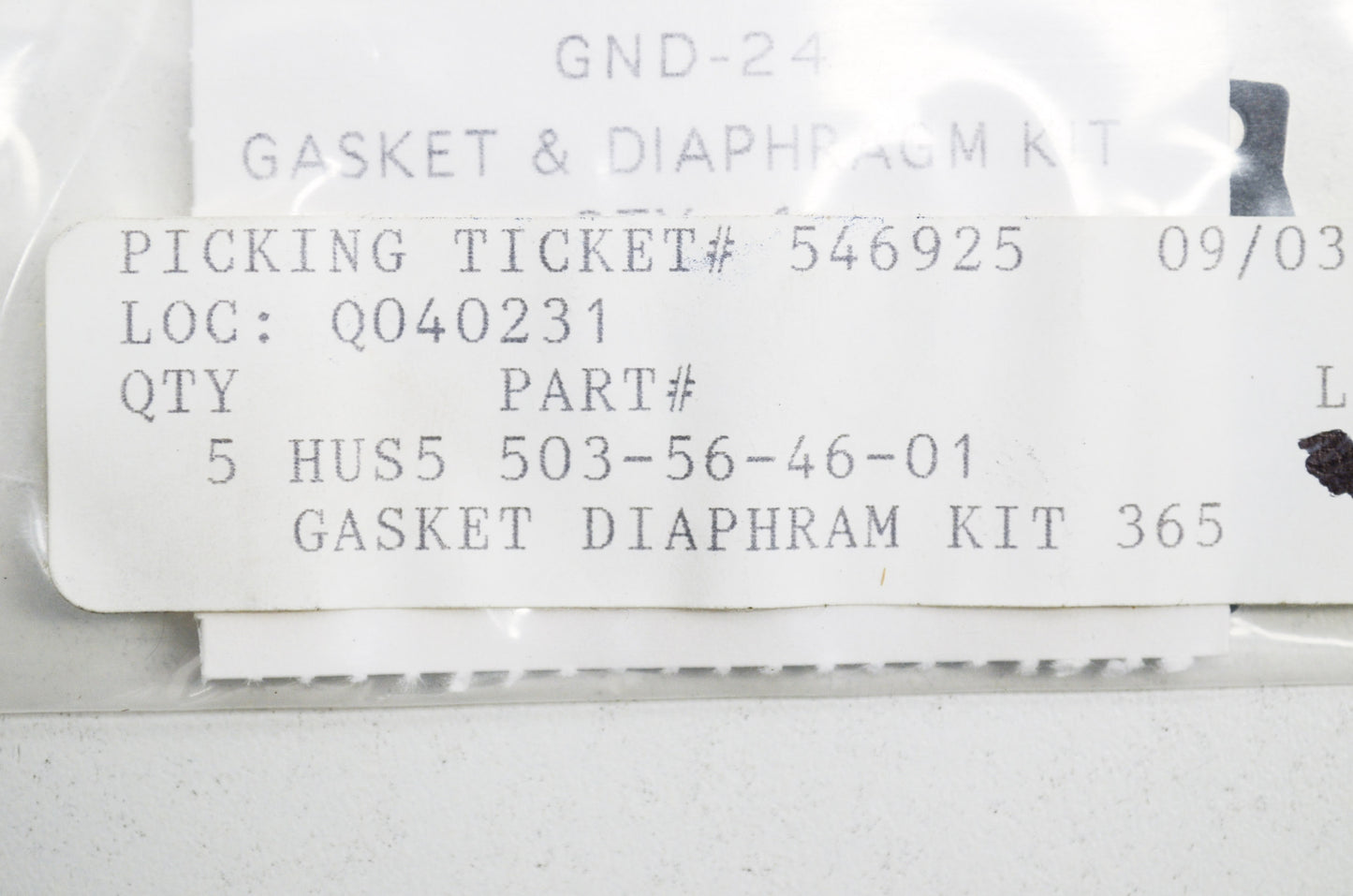 Gasket & Diaphragm Kit NOS