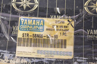 V-Star Windshield