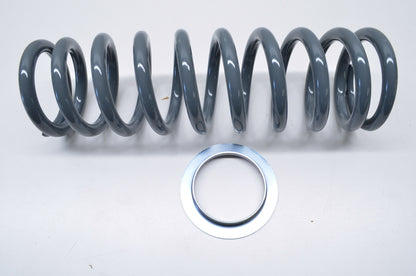 Spring & Washer NOS