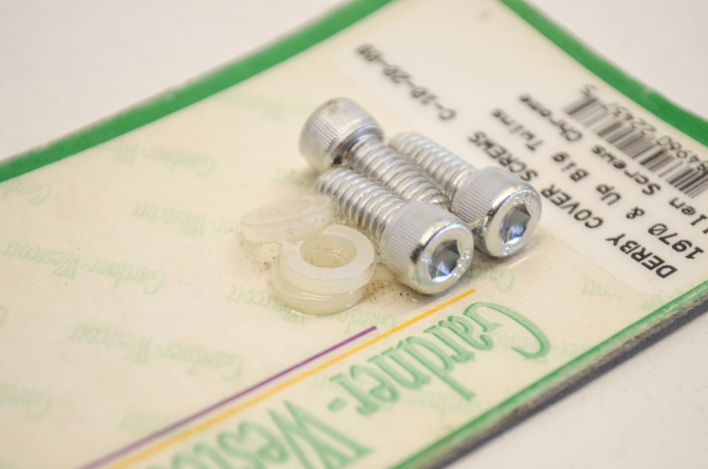 Derby Cover Screw Kit NOS
