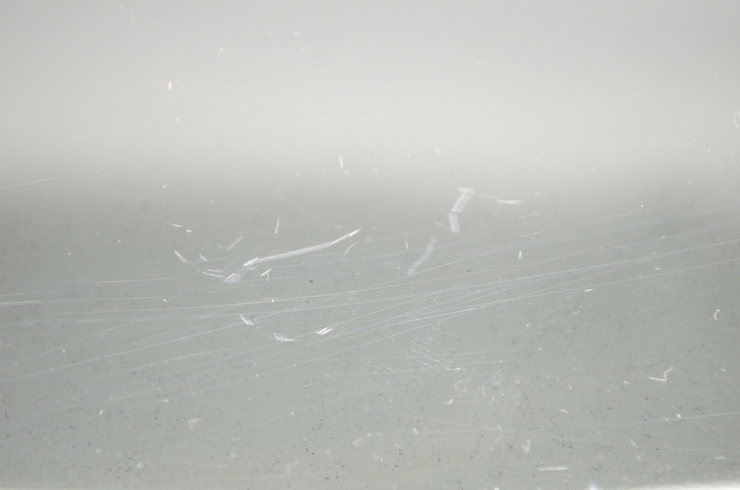 Smoke Flat Shield NOS