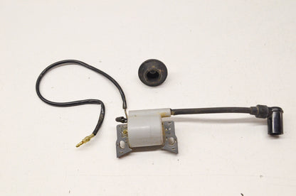 Ignition Coil Assembly