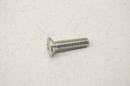 OEM Honda 93700-06025-0A Oval Screw (6X25) NOS