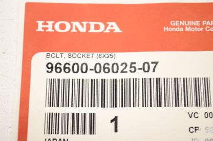 OEM Honda 96600-06025-07 Socket Bolt (6X25) NOS