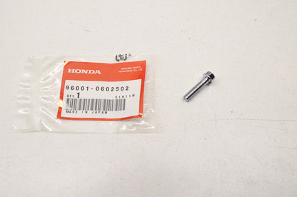 OEM Honda 96001-06025-02 Flange Bolt (6X25) NOS