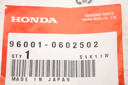OEM Honda 96001-06025-02 Flange Bolt (6X25) NOS