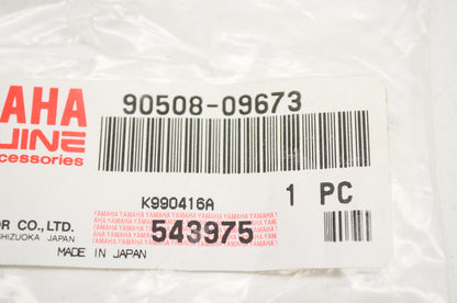 OEM Yamaha 90508-09673-00 Torsion Spring NOS