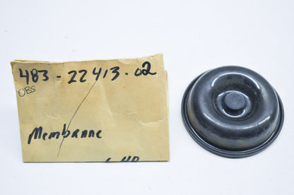 Membrane NOS