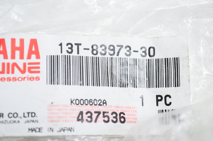 Handle Switch 3 NOS
