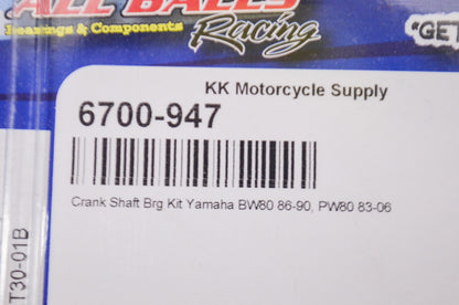 Crank Shaft Bearing Kit NOS