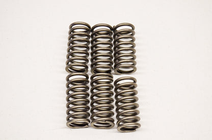 EBC CSK111 Clutch Spring QTY 6 NOS