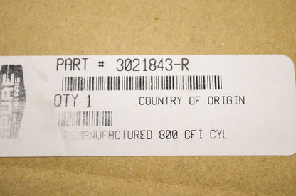 Polaris Remanufactured 800 CFI Cylinder