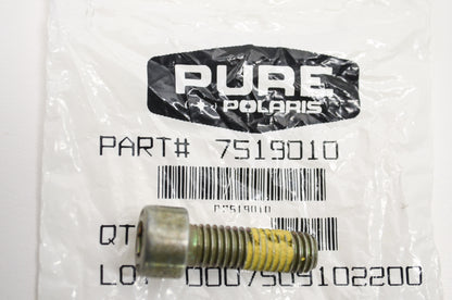 OEM Polaris 7519010 Screw M8X1.25X25 8.8 SH ZOD P30 NOS
