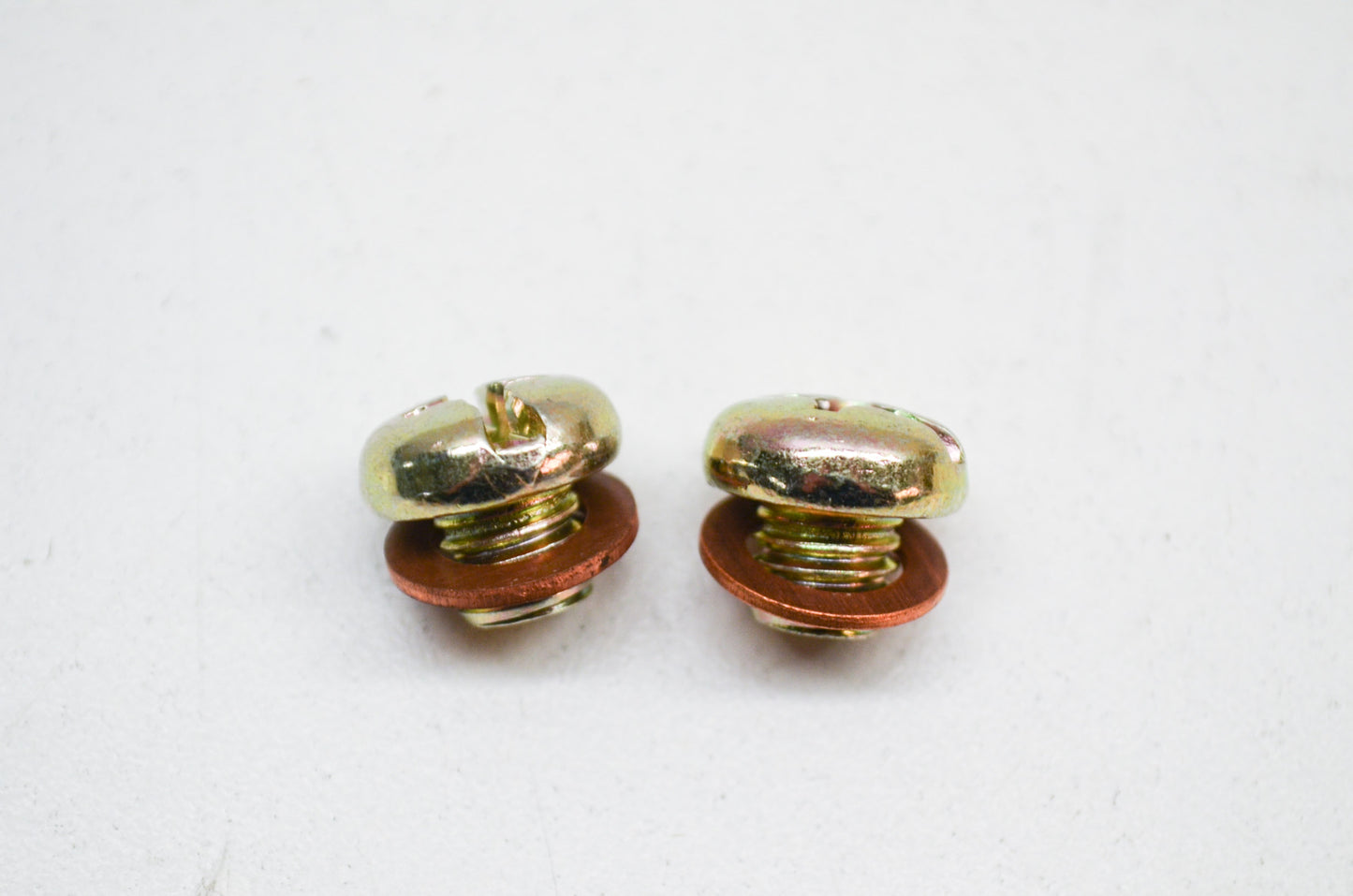 New V-Twin Drain Screw Qty 2 NOS