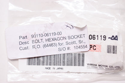 OEM Yamaha 90110-06119-00 Hexagon Socket Bolt NOS