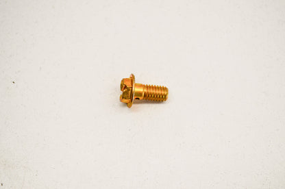OEM Polaris 7517679 Hex Flange Screw M6X1.0x13 NOS