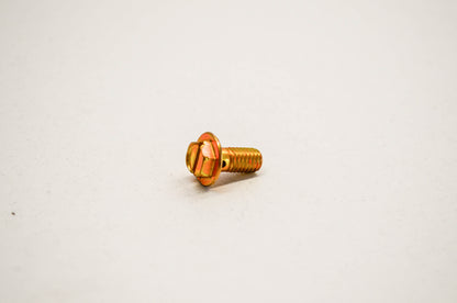 OEM Polaris 7517679 Hex Flange Screw M6X1.0x13 NOS