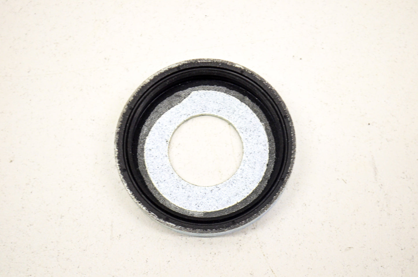 Rear Dust Seal NOS