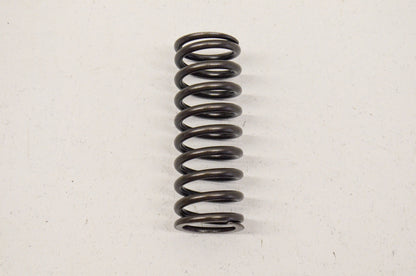 OEM Honda 22401-MCH-000 Clutch Spring NOS