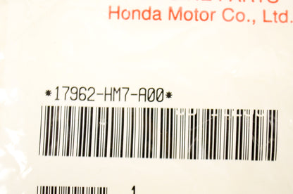 OEM Honda 17962-HM7-A00 Choke Lever Set NOS
