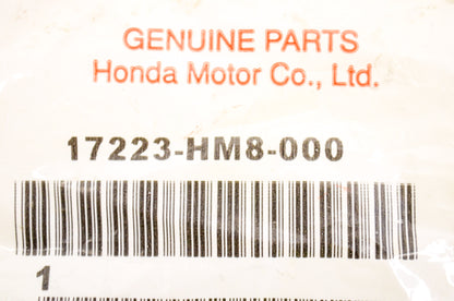 OEM Honda 17223-HM8-000 Spring Qty 2 NOS