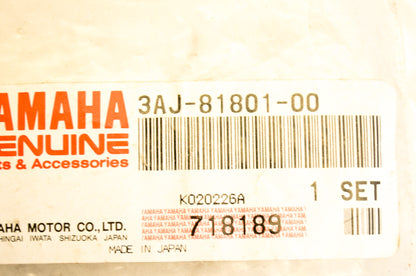 OEM Yamaha 3AJ-81801-00-00 Brush Set NOS