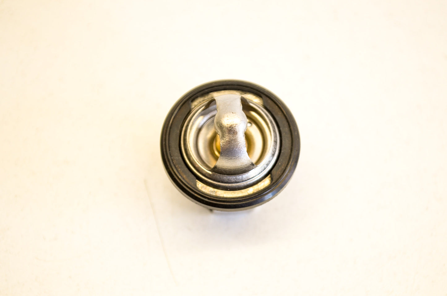 OEM Yamaha 2TV-12411-00-00 Thermostat