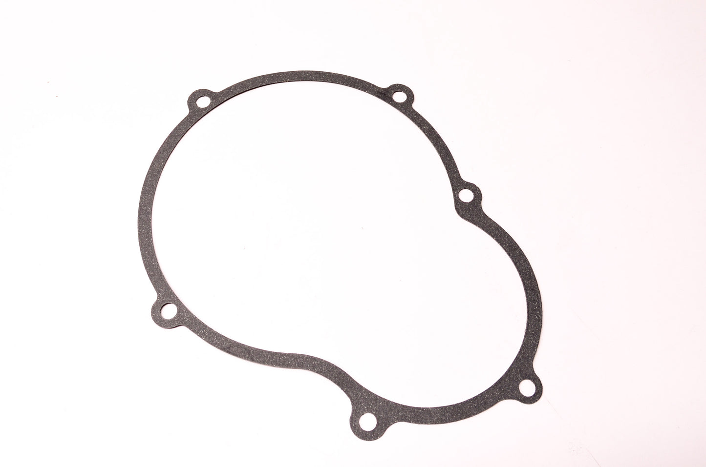 OEM Briggs & Stratton 270448 Counterweight Cover Gasket NOS