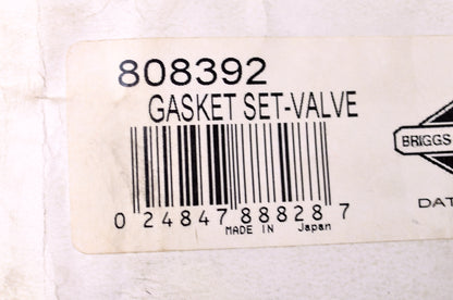 New Briggs & Stratton Valve Gasket Kit NOS