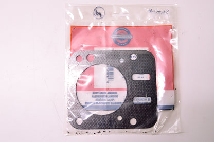 New Briggs & Stratton 698210 Cylinder Head Gasket NOS