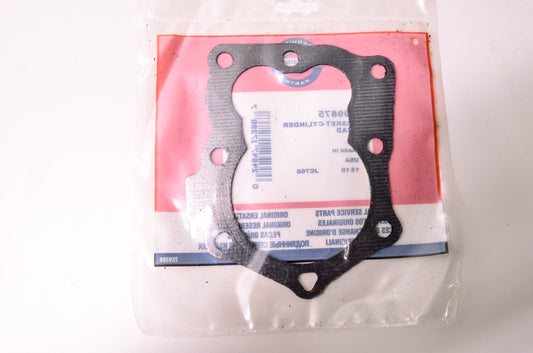 New Briggs & Stratton 799875 Cylinder Head Gasket NOS
