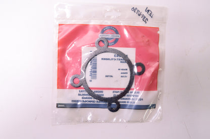 New Briggs & Stratton Cylinder Head Gasket NOS