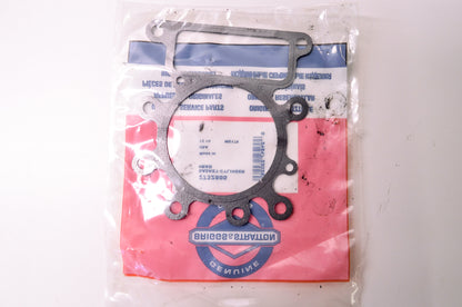 New Briggs & Stratton 273280S Cylinder Head Gasket NOS
