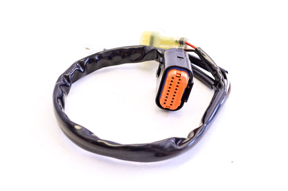 Wiring Harness NOS