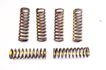 New KG High Performance Clutch Spring Kit NOS