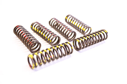 New KG High Performance Clutch Spring Kit NOS