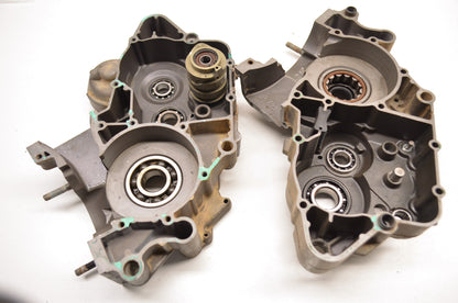 Engine Crankcase Center Case