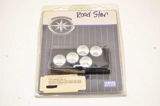 Pulley Nut Cover Chrome NOS