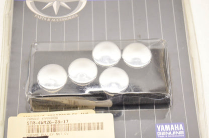 Pulley Nut Cover Chrome NOS