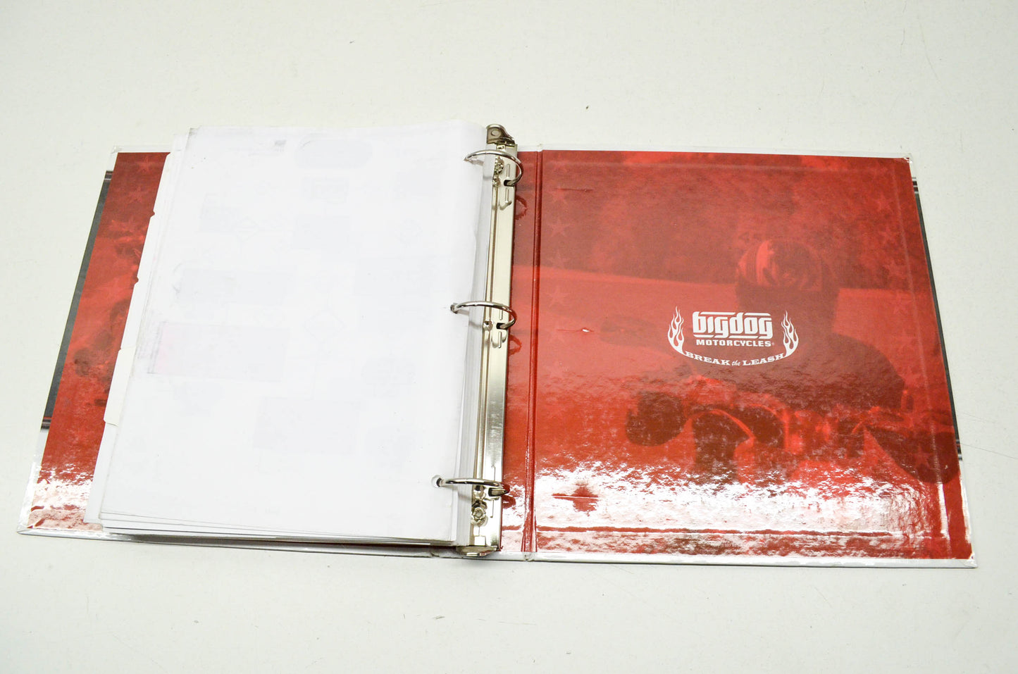 Big Dog Motorcycles 2008 Service Manual