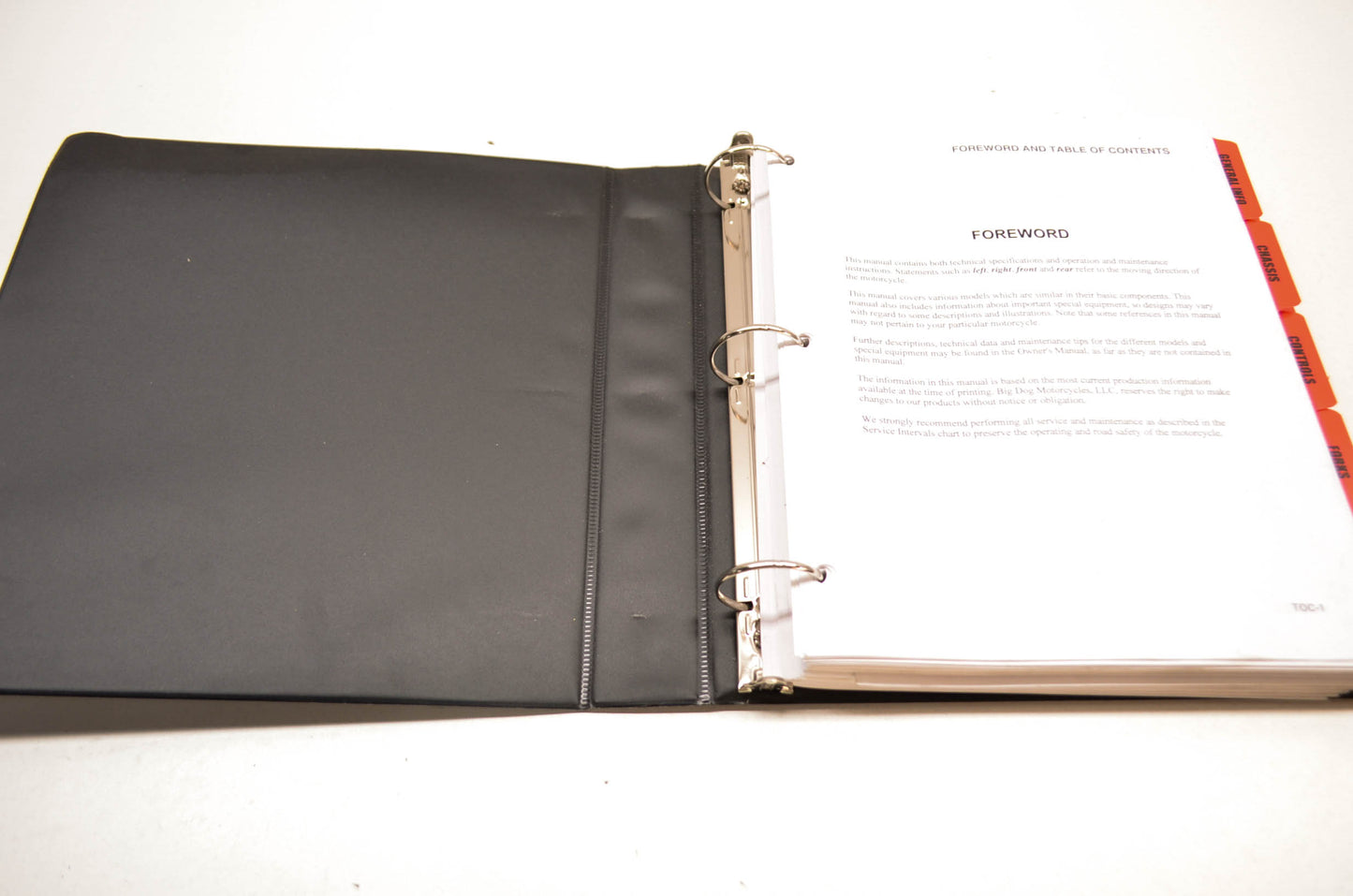 Big Dog Motorcycles 2009 Service Manual