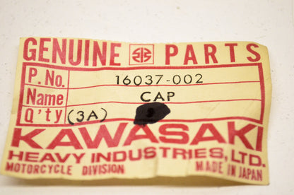 OEM Kawasaki 16037-002 Throttle Adjuster Cap NOS