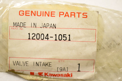 OEM Kawasaki 12004-1051 Intake Valve NOS